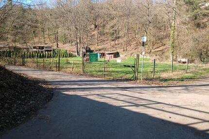 Garten zu Verpachten in Meisenheim am Glan 100€Pacht im Monat - Langweiler