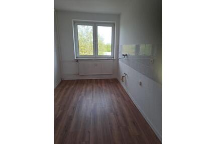 Helle 4 Raumwohnung mit neuer Einbauküche - Arneburg