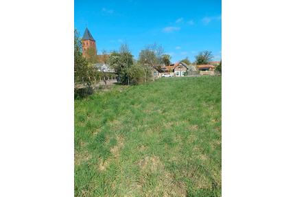 Wiese zur Verpachtung in Diesdorf - Salzwedel