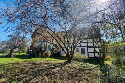 Grosses, interessantes Haus in Coppenbrügge Diedersen