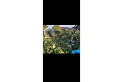 Schreber-Garten in Freital Wurgwitz abzugeben