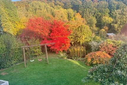 Familiennest mit Traumgarten und Glasfaser - Hessisch Oldendorf
