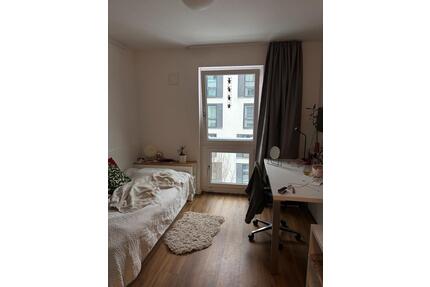 1-Zimmer-Apartment zur Untermiete April - Hamburg Borgfelde