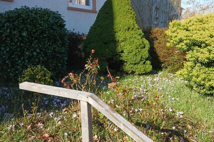 Wohnung 2,5 - 495,00&nbsp;EUR Kaltmiete, ca.&nbsp; 58,00&nbsp;m&sup2; in Bochum (PLZ: 44867) Höntrop