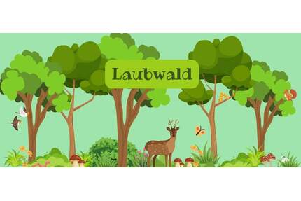 Wald in NWM! - 21.600,00&nbsp;EUR Kaufpreis, ca.&nbsp; 0,00&nbsp;m&sup2; in Rankendorf (PLZ: 23936)