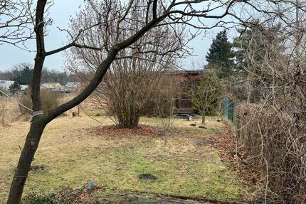 Freizeitgarten von ca 1000qm in Potsdam zu verpachten