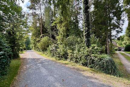 Grün. Ruhig. Flexibel. - Baugrundstück in Buchholz mit altem Baumbestand und viel Potenzial - Buchholz in der Nordheide