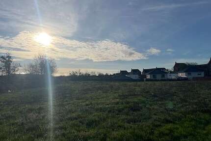 Grundstück zu verkaufen in Torgau 208.000,00 € 3786 m²