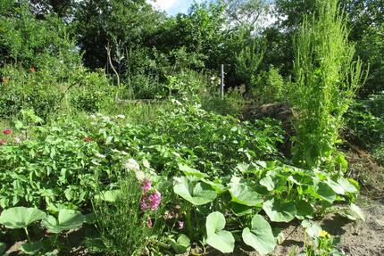 Mietgarten - 120,00&nbsp;EUR Kaltmiete, ca.&nbsp; 0,00&nbsp;m&sup2; in Petershagen/Eggersdorf (PLZ: 15345)