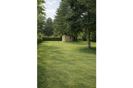 Grundstück zu verkaufen in Leipzig 209.000,00 € 800 m²