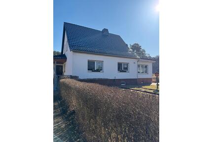 EFH mit 2,4 ha Grundstück & Wald bei Wittenberg - Wittenberg Lutherstadt Reinsdorf
