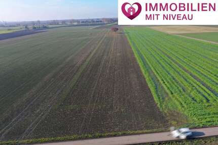 Grundstück in Lauingen 136.000,00 € 11349 m²