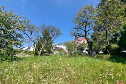 Grundstück zu verkaufen in Kassel 309.000,00 € 1429 m²