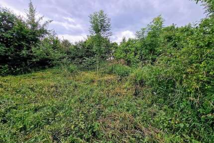 Grundstück zu verkaufen in Landsberg 110.000,00 € 2418 m²