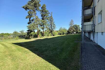 Wohnung zum Mieten in Dresden 600,00 € 60 m²