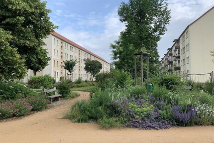 2 Raum Wohnung mit Balkon - Einzug nach Renovierung - Borna