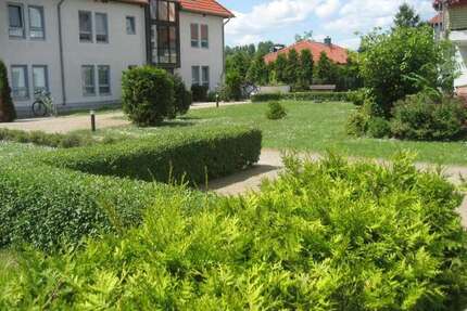 Wohnung zum Mieten in Birkenhain 740,00 € 47.49 m²