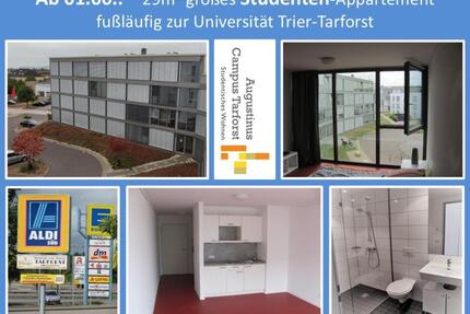 Ab 01.06.: 29m2 Studenten mwd - Appartement in Trier, nähe Uni