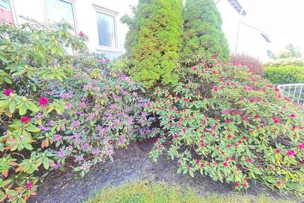 SOFORT FREI: Genießen Sie den Sommer in Ihrem neuen großen Garten in Mögeldorf - Nürnberg