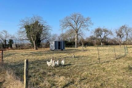 Freizeitgrundstück mit Blick auf die Mettnau - nicht bebaubar - Radolfzell am Bodensee