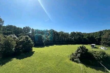 Balkon, 40qm im Grünen (oder zur Zwischenmiete!) - Leipzig Südost