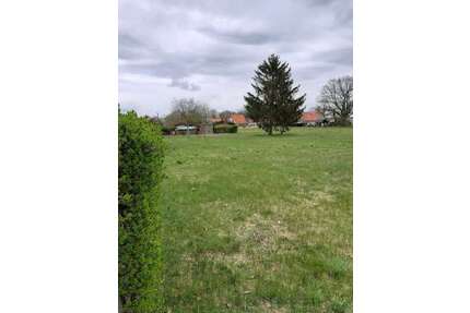 Haus zum Kaufen in Heinsdorf 295.900,00 € 120 m²