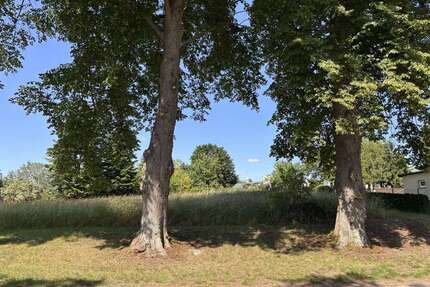 Grundstück zu verkaufen in Badow 69.000,00 € 2030 m²