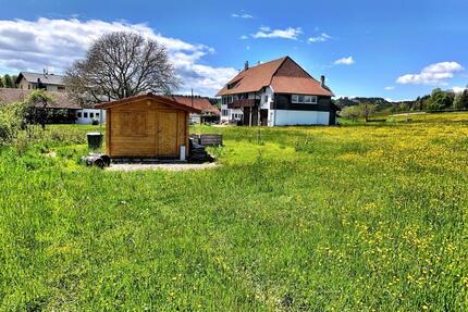 Gartenhaus mit Wiesengrundstück im Schwarzwald zu verpachten - Ühlingen-Birkendorf