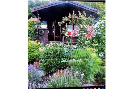 Garten in Gartenanlage ,Am Schloßwald e.V.`in Schwarzenberg - Schwarzenberg/Erzgebirge