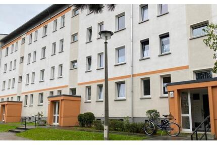 1 Raumwohnung 35,5 m² im Hochparterre - BU41 - Großschönau