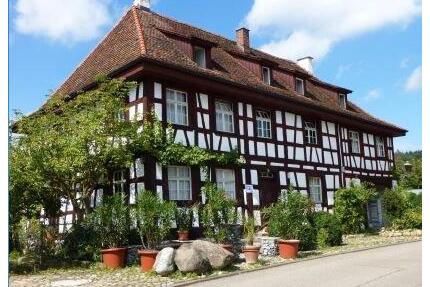 Wohnen im Kulturdenkmal - Blumenappartement - Owingen
