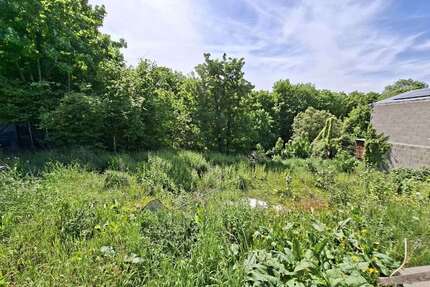 Grundstück zu verkaufen in Nideggen 159.000,00 € 785 m²