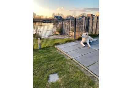 Ferienhaus am See, Hund,Sauna 30.05-06.06.26 in Barsel - Oldenburg Ziegelhof