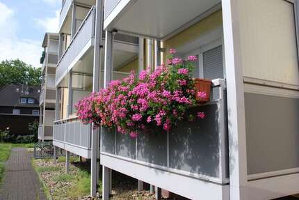 Wohnung zum Mieten in Duisburg 420,00 € 52.5 m²