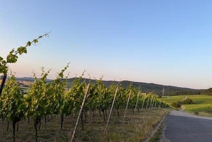 Ferienwohnung für bis zu 6 Personen und 2 Hunde - Kitzingen