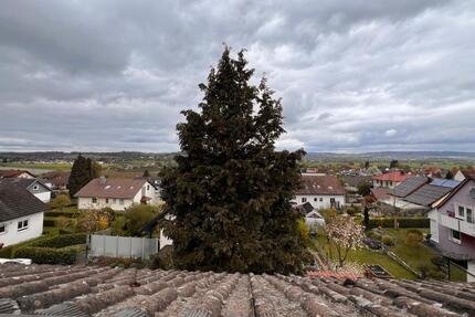 Charmante DG mit Traumblick & hochwertiger Komplettsanierung - Salem
