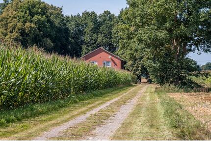 Großes Gartengrundstück mit Wohnhaus, Nebengebäuden u. Ackerland - Lathen