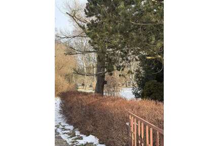 Grundstück zu verkaufen in Panketal 160.000,00 € 515 m²