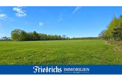 Grundstück in Edewecht 179.000,00 € 81689 m²