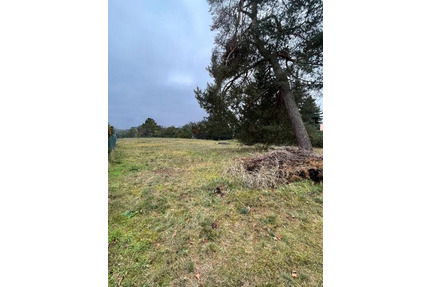 Sofort bebaubares großzügiges Baugrundstück im schönen Borgsdorf - Hohen Neuendorf