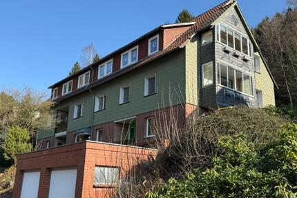 2-Zimmer-Wohnung im Erdgeschoss mit Balkon in ruhiger Lage - Langelsheim