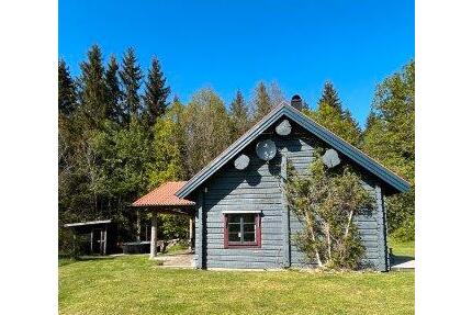 Ferienhaus Nr. 1 Schweden bis 8 Personen | Pool, Sauna, Badetonne - Bielefeld