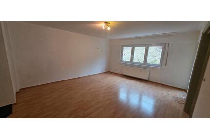 2 Zimmer Wohnung - 750,00&nbsp;EUR Kaltmiete, ca.&nbsp; 73,00&nbsp;m&sup2; in Furtwangen im Schwarzwald (PLZ: 78120)
