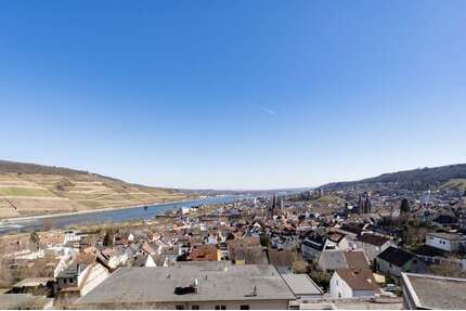Wohnung zum Mieten in Bingen am Rhein 550,00 € 30 m²