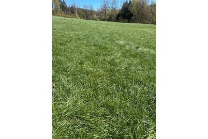 Grünland Wiese Futter - 200,00&nbsp;EUR Kaltmiete, ca.&nbsp; 0,00&nbsp;m&sup2; in Freyung (PLZ: 94078)