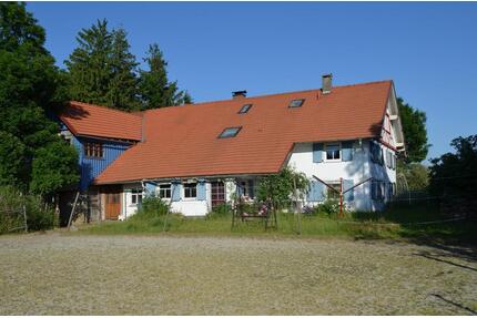 Kleiner, privater Pferdehof an Liebhaber zu verkaufen - Leutkirch im Allgäu