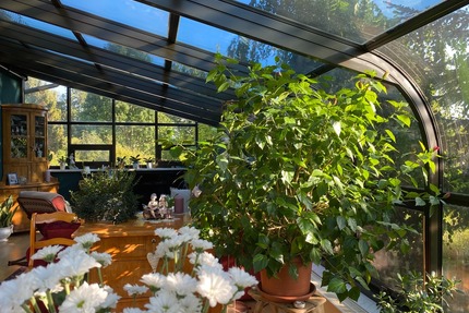 Haus mit Wintergarten, 3 Garagen, Platz für Kinder und Hobbys - Kottmar