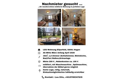 Wohnung Hagen - 289,00&nbsp;EUR Kaltmiete, ca.&nbsp; 39,00&nbsp;m&sup2; in Hagen (PLZ: 58091) Dahl