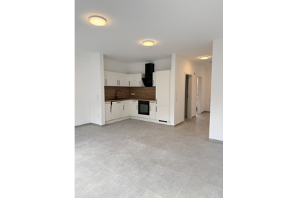 Reihenhäuser zur Miete in ruhiger Lage von Aschendorf - Papenburg / Aschendorf (Ems)