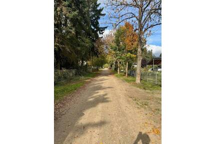 Top ruhige Lage, nur 2,5 km vom Bahnhof Wilhelmshorst entfernt! - Michendorf Bergheide